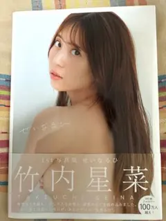 竹内星菜　写真集　せいなるひ