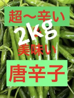 ご購入されて収穫する！農家直送鮮度抜群!激辛品種ホットパラソルex2