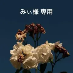 みぃ様専用