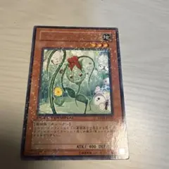ナチュル・ローズウィップ DT04-JP021 ④ 遊戯王 OCG カード - メルカリ