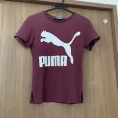 Item thumbnail for item 5470e554-ea99-4a76-9aaa-05e87073541b