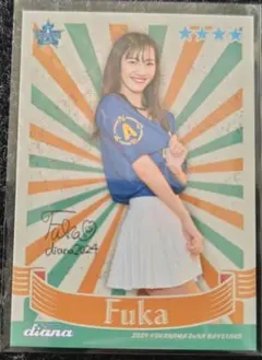 Item thumbnail for item c2156095-b977-4070-86c4-b29b9a5255d4