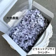済　つくし様　ご専用