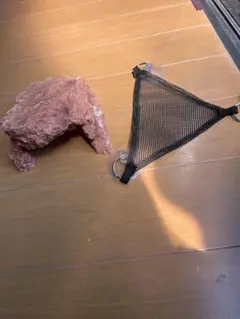 Item thumbnail for item 0e12bfe8-9bcf-479f-975a-06a5e6025cbe