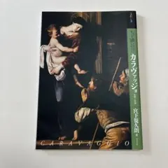 もっと知りたい カラヴァッジョ