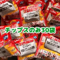 プロ野球チップス 2026 30袋(ポテトチップスのみ)のサムネイル