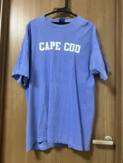 COMFORT COLORS CAPE COD Tシャツ XL USA古着
