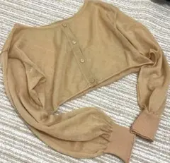 【美品】Ray Cassinシースルートップス 長袖 クロップド丈　Fのサムネイル