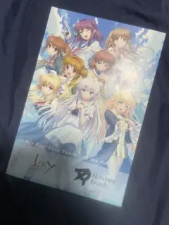 Item thumbnail for item 56308c14-9f9b-473b-9294-a674553d9695