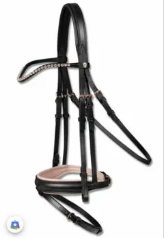 Item thumbnail for item dd58d649-df25-4c2a-b551-2e1ae487cbd1