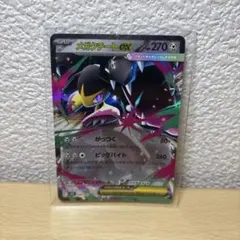 ポケモンカード メガクチートex rr