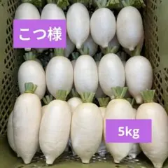 こつ様専用★辛味大根『おいばね』SМ混合5kgのサムネイル