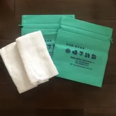 Item thumbnail for item 3dd438d2-1d5d-4c5f-98eb-179e2e243e6c