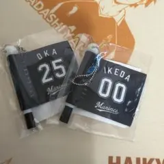 千葉ロッテマリーンズ 応援ミニフラッグ 岡 25 池田 00