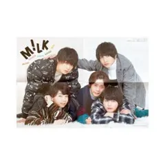 M!LK TVガイドdan ダン vol.13 別冊付録　両面刷り特大ポスター