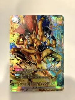 極美品　ガンマ1号：SH/ガンマ2号：SH SR★ [FB09-051]