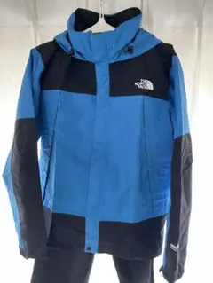 THE NORTH FACE マウンテンレインテックス GORE-TEX メンズ
