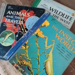 B630 ヴィンテージ 洋書 こんがり焼け 児童書 紙物 ジャンクジャーナル