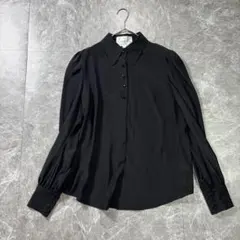 極美品✨iCB Mula オンワード樫山 とろみブラウス シャツ 44 黒のサムネイル