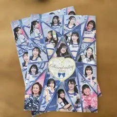 Dragons チアリーダーファイル（記念グッズ 2025） 2枚セット