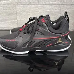 NIKE JORDAN LUKA 2 PF BRED ナイキ ルカ ドンチッチ - メルカリ