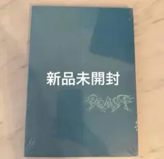 新品未開封　ALD1 少年BEAST Cementic Nest Ver