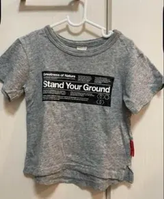 オフィシャルチーム Tシャツのサムネイル