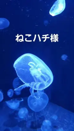 おすそ分け袋　コラージュ袋　袋のみ８枚セット