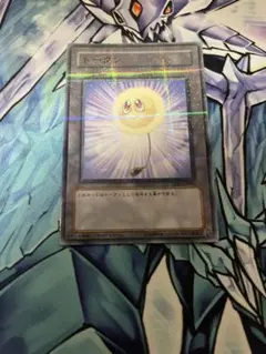 遊戯王 綿毛トークン ノーパラ