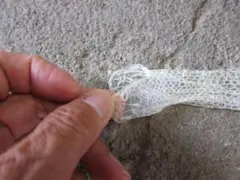 極希少☆極美品カイロウドウケツ 縁起物 深海生物 25-30cm 標本 - メルカリ