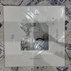 2026年最新】never young beach レコードの人気アイテム - メルカリ