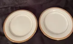 Noritake Contemporary 金彩皿 10枚セット 取り皿 深皿 - メルカリ