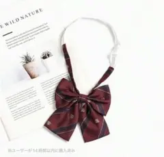 Item thumbnail for item ac61699d-50cb-41b1-9ed9-7d0a210cdc55