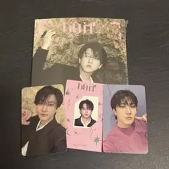 DoIt アコーディオン POB 封入トレカ チャンビン 4点セット 開封済