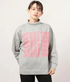 GAP 裏起毛 ハイネック スウェット トレーナー 大きめLサイズ