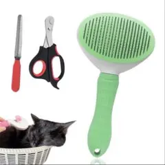 Item thumbnail for item 0fa75e09-1268-4023-9164-0f1abe5d4f90