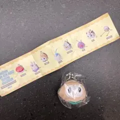 韓国イベント限定　ポケモン　モクロー　コインケースキーリング