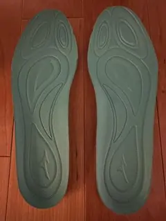 MIZUNO ミズノ　野球　中敷　インソール　2Y151UN