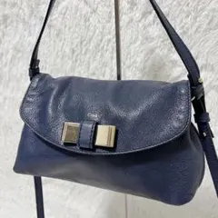 ✨激レア✨Chloe リリー 2way ショルダーバッグ アクセサリーポーチ