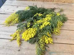 cutemio様 リクエスト 5点 まとめ商品