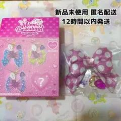 【即日発送】パルパルーザ ミニーのファンダーランド キーチェーン シークレット