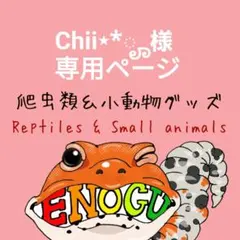 [Chii⋆*ೄ様専用ページ]爬虫類ステッカー2枚のサムネイル