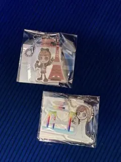 ［新品］浜崎あゆみ -Scapegoat- 6/2、3会場限定 アクキー（東京）のサムネイル