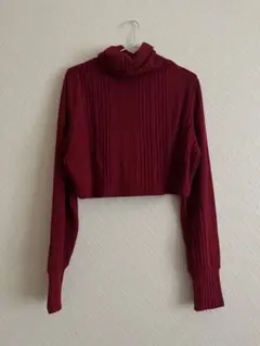 バーガンディ リブ編み タートルネック セーター