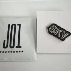 JO1 POPUP ランダムピンバッチ　金城碧海