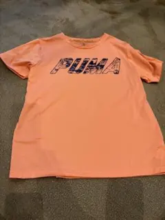 PUMA Tシャツ2枚組