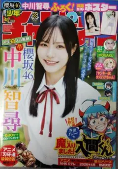 【匿名配送】櫻坂46中川智尋ポスター・グラビア・応募券セット【送料無料】