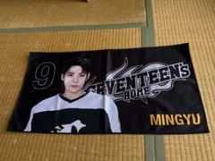 SEVENTEEN MINGYU ホームデザインタオルのサムネイル