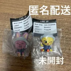 skzoo ガチャ　サウナフィギュア　ポガリ＆トゥエッキ　straykids