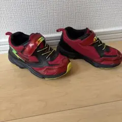 Item thumbnail for item 393ecde0-0763-46fc-8717-6087c6cd1a63